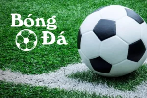 Tìm Hiểu Quy Định Về Bóng Trong Cuộc Và Bóng Ngoài Cuộc