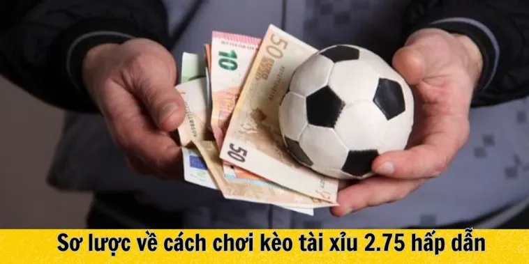 Hướng Dẫn Cách Đọc Kèo 2.75 Và Chiến Thuật Soi Kèo