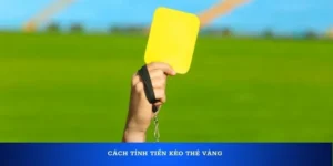 Tìm Hiểu Quy Luật Về Kèo Thẻ Vàng Trong Bóng Đá Chuyên Nghiệp