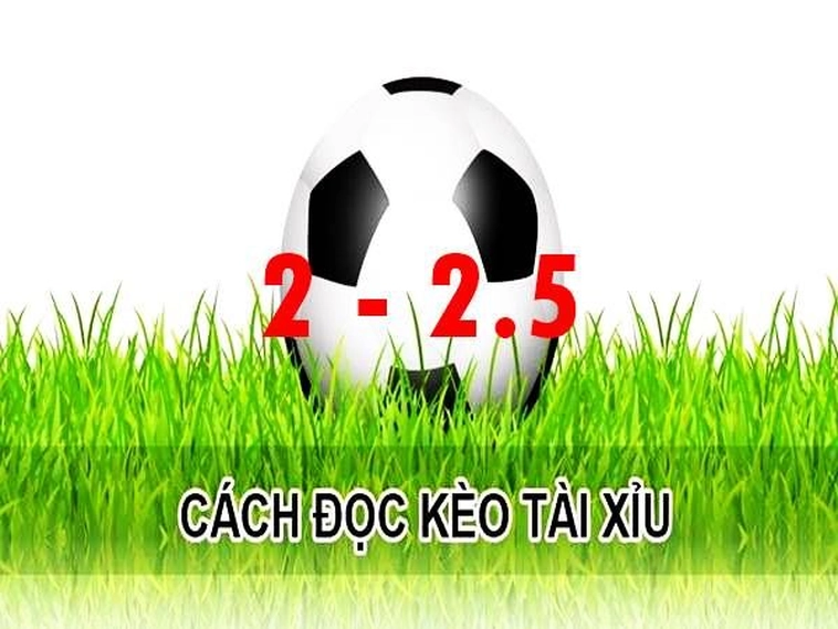 Hướng Dẫn Cách Đọc Kèo 2.25 Trong Dự Đoán Bóng Đá