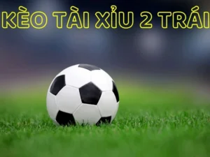 Hướng Dẫn Cách Đọc Kèo Tài Xỉu Bóng Đá Cho Người Mới Tham Gia