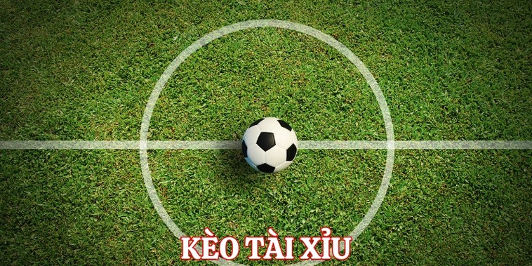 Hướng Dẫn Cách Đọc Kèo Tài Xỉu Bóng Đá Cho Người Mới Tham Gia