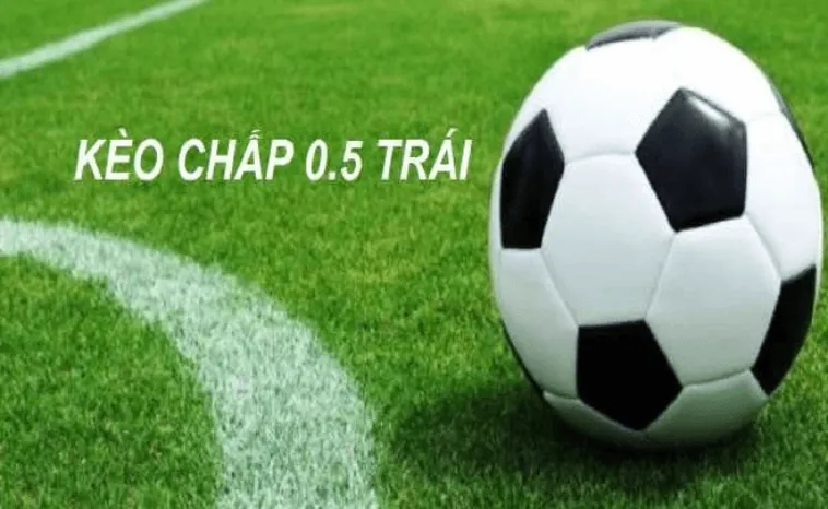 Chiến Thuật Thành Công Kèo Chấp 0.5 Trong Bóng Đá Chuyên Nghiệp